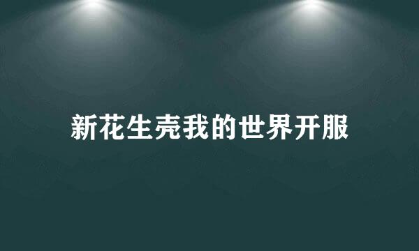新花生壳我的世界开服