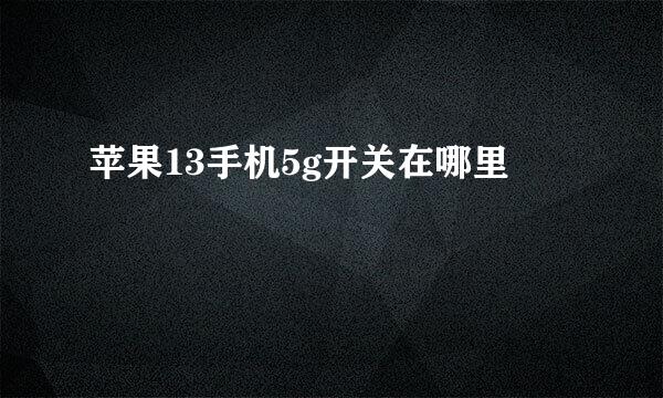 苹果13手机5g开关在哪里