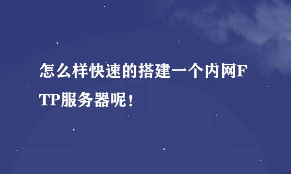 怎么样快速的搭建一个内网FTP服务器呢！