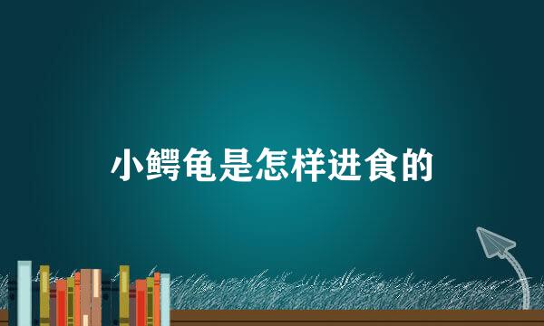 小鳄龟是怎样进食的