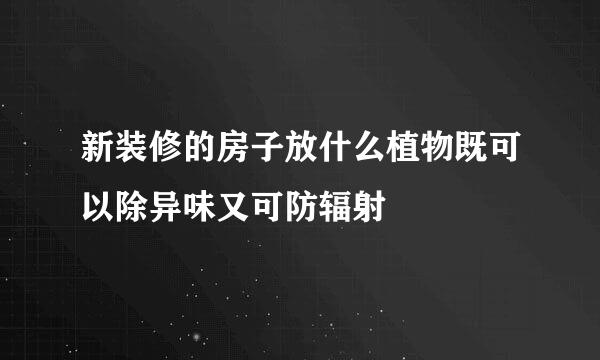 新装修的房子放什么植物既可以除异味又可防辐射