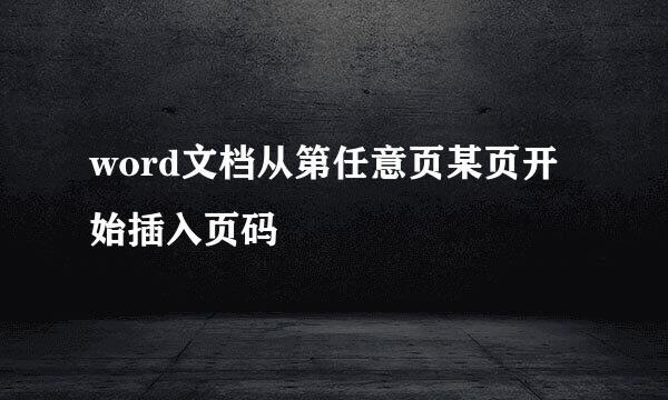 word文档从第任意页某页开始插入页码