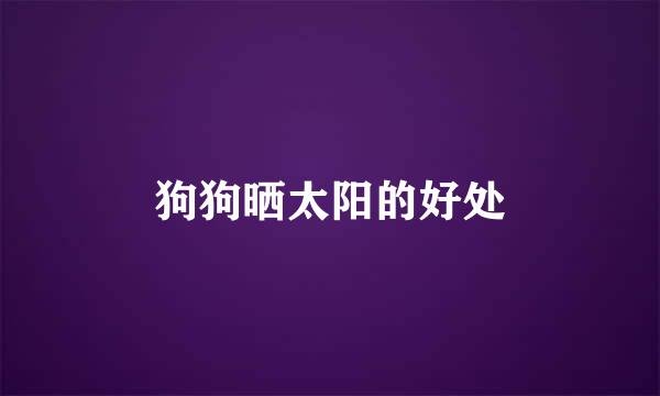 狗狗晒太阳的好处