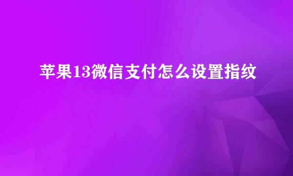 苹果13微信支付怎么设置指纹