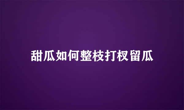 甜瓜如何整枝打杈留瓜