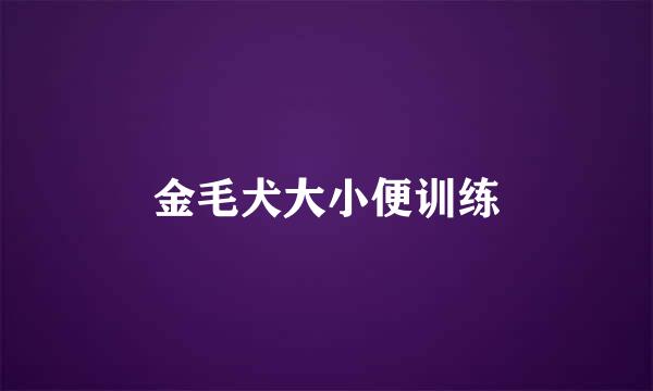 金毛犬大小便训练