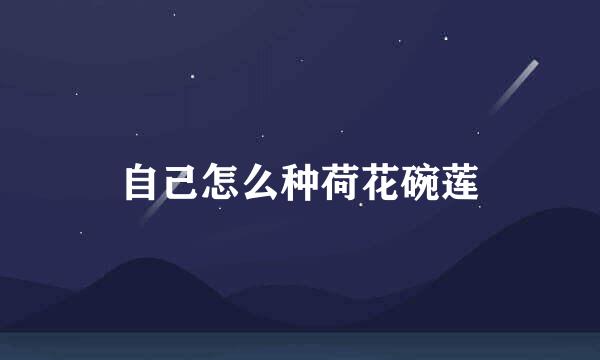 自己怎么种荷花碗莲