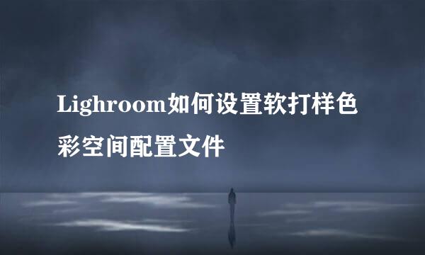 Lighroom如何设置软打样色彩空间配置文件
