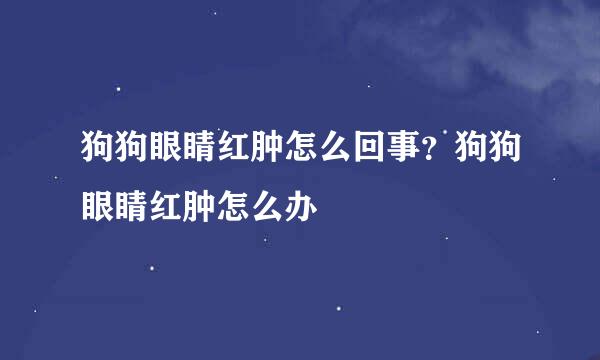 狗狗眼睛红肿怎么回事？狗狗眼睛红肿怎么办