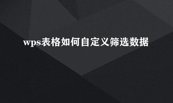 wps表格如何自定义筛选数据