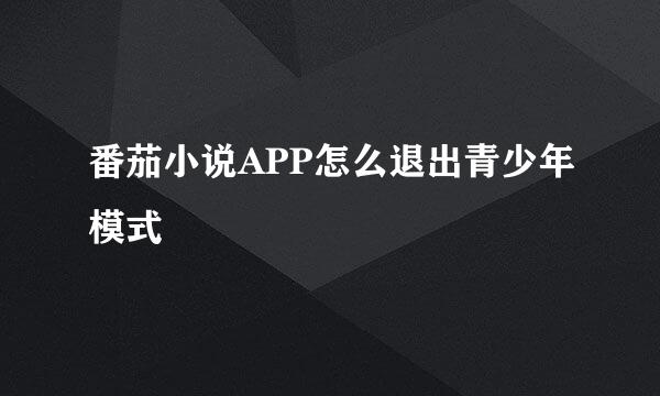 番茄小说APP怎么退出青少年模式