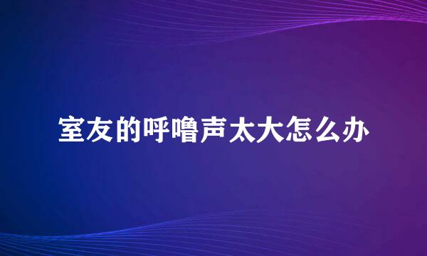 室友的呼噜声太大怎么办