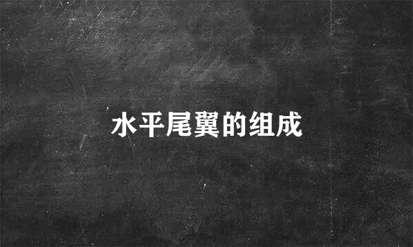 水平尾翼的组成