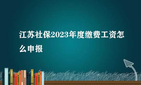江苏社保2023年度缴费工资怎么申报
