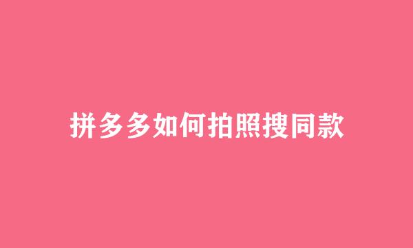 拼多多如何拍照搜同款