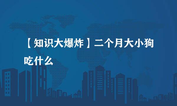 【知识大爆炸】二个月大小狗吃什么