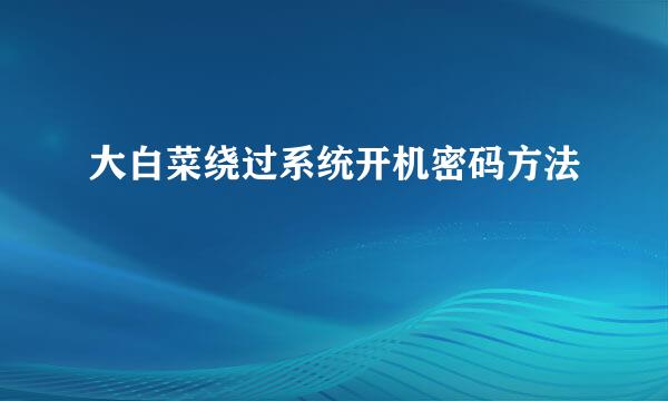 大白菜绕过系统开机密码方法