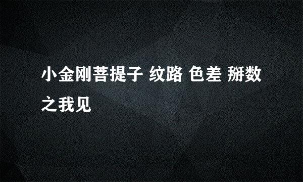 小金刚菩提子 纹路 色差 掰数之我见