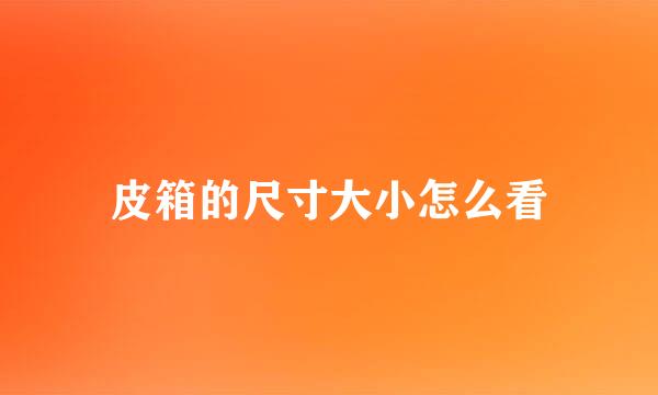 皮箱的尺寸大小怎么看