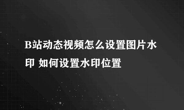 B站动态视频怎么设置图片水印 如何设置水印位置