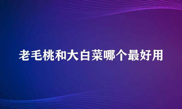老毛桃和大白菜哪个最好用