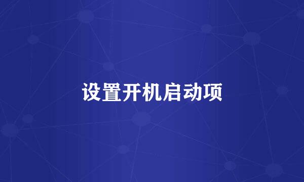 设置开机启动项