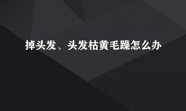 掉头发、头发枯黄毛躁怎么办