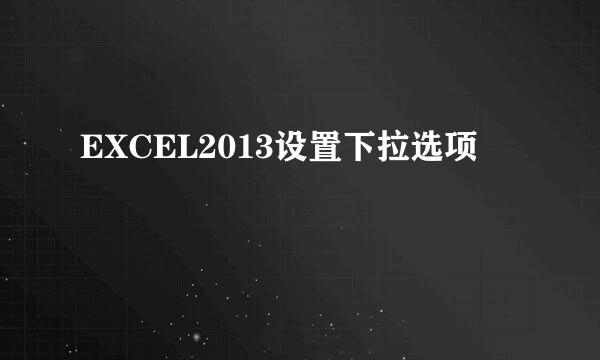 EXCEL2013设置下拉选项