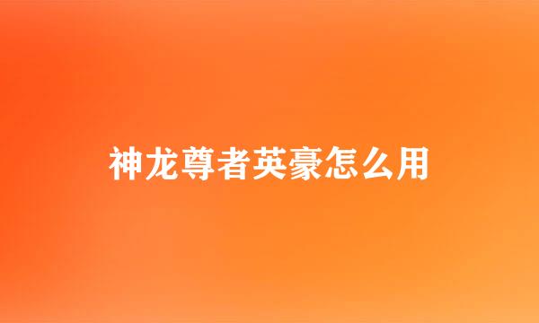 神龙尊者英豪怎么用