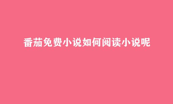 番茄免费小说如何阅读小说呢
