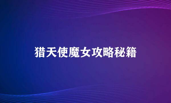 猎天使魔女攻略秘籍