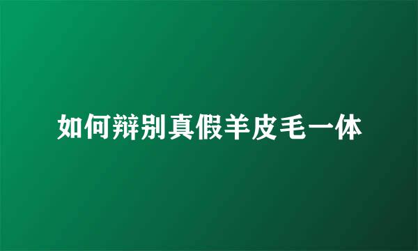 如何辩别真假羊皮毛一体