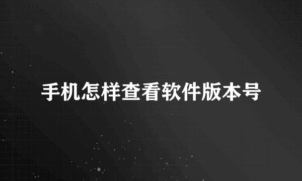手机怎样查看软件版本号