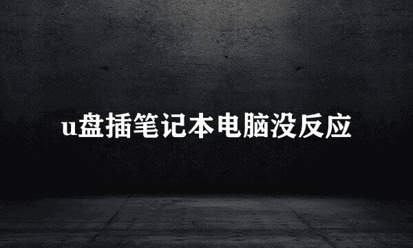 u盘插笔记本电脑没反应