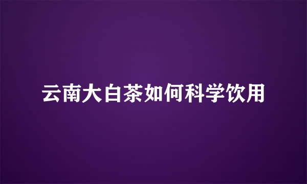 云南大白茶如何科学饮用