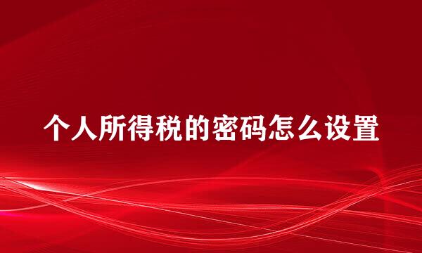 个人所得税的密码怎么设置