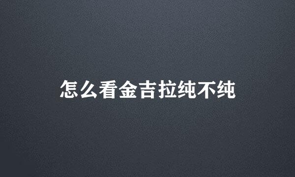 怎么看金吉拉纯不纯