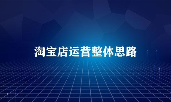 淘宝店运营整体思路