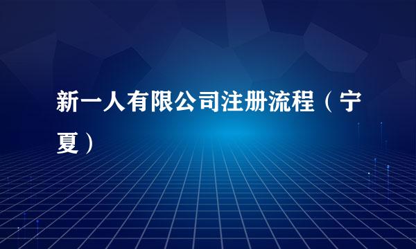 新一人有限公司注册流程（宁夏）
