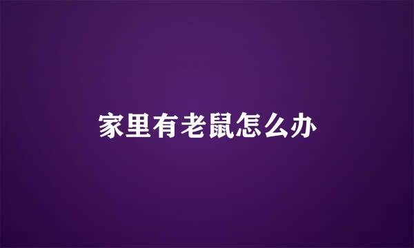 家里有老鼠怎么办