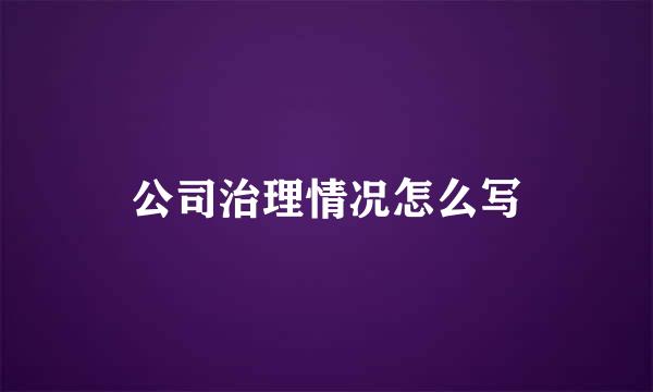 公司治理情况怎么写