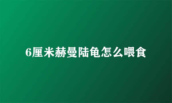 6厘米赫曼陆龟怎么喂食