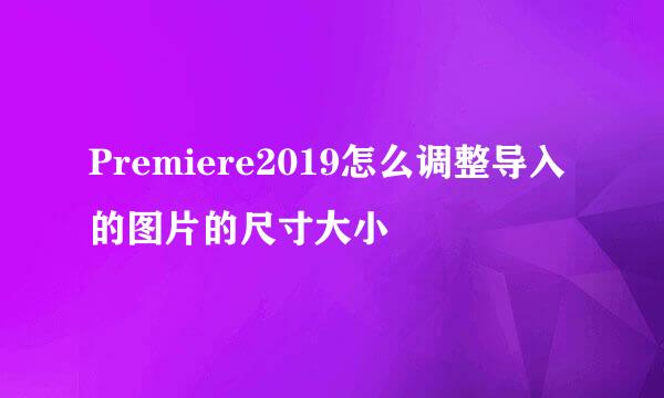 Premiere2019怎么调整导入的图片的尺寸大小