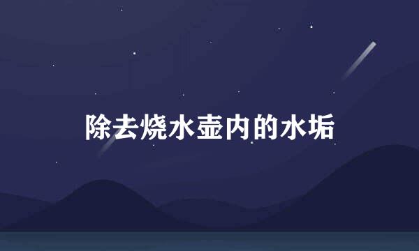 除去烧水壶内的水垢