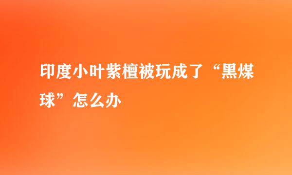 印度小叶紫檀被玩成了“黑煤球”怎么办