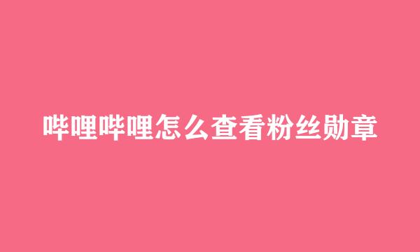 哔哩哔哩怎么查看粉丝勋章