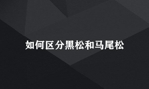 如何区分黑松和马尾松