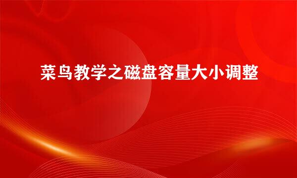 菜鸟教学之磁盘容量大小调整