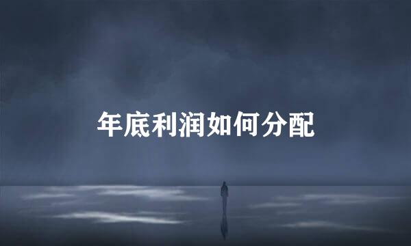 年底利润如何分配