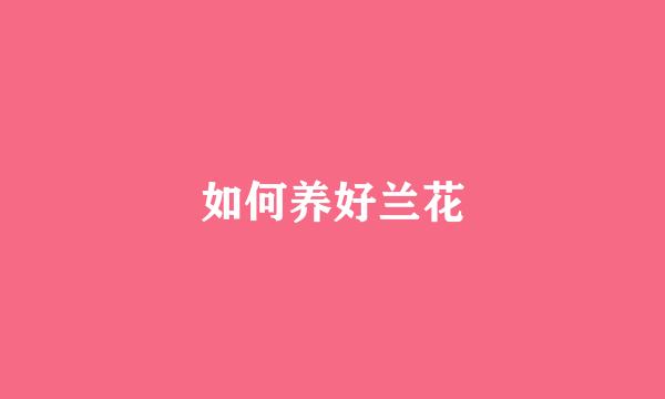 如何养好兰花